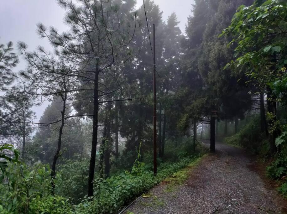 The Hill Story, Entire Chalet, Offbeat,Cozy Mussoorie Exteriér fotografie