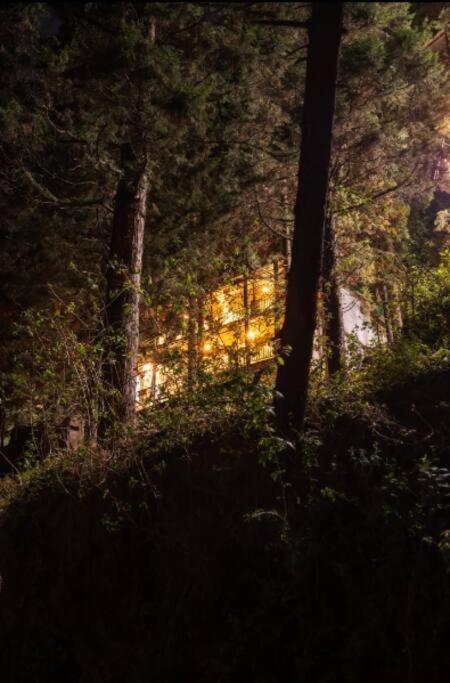 The Hill Story, Entire Chalet, Offbeat,Cozy Mussoorie Exteriér fotografie
