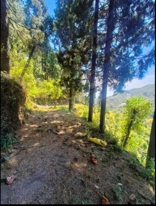 The Hill Story, Entire Chalet, Offbeat,Cozy Mussoorie Exteriér fotografie