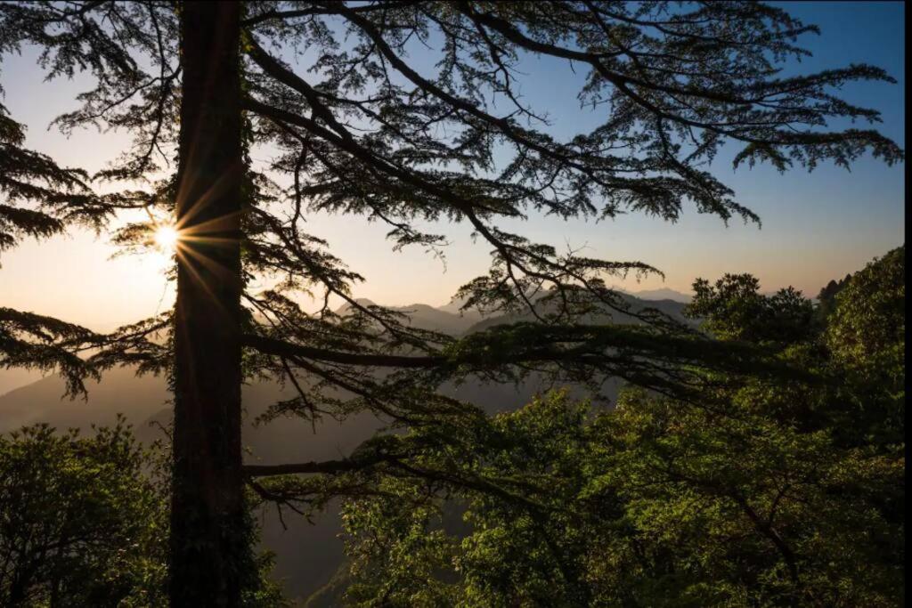 The Hill Story, Entire Chalet, Offbeat,Cozy Mussoorie Exteriér fotografie